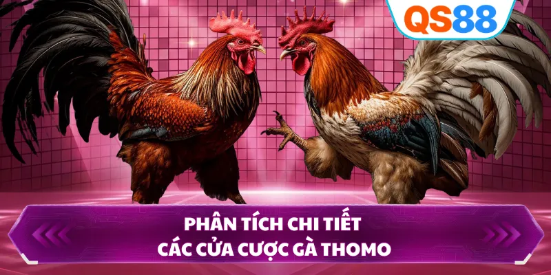 Phân tích chi tiết các cửa cược gà Thomo