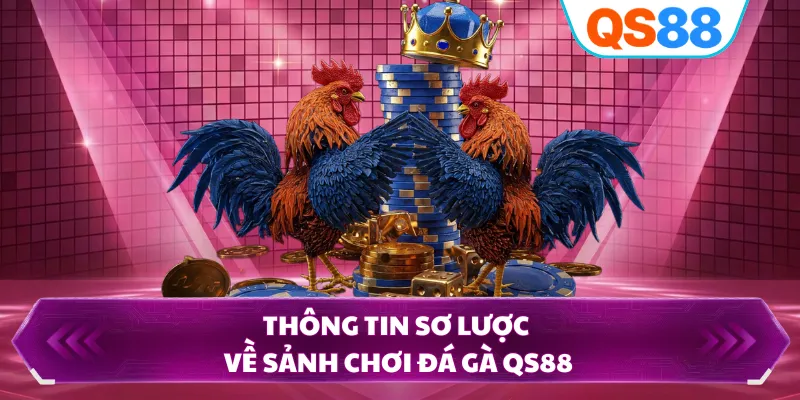 Thông tin sơ lược về sảnh chơi đá gà QS88